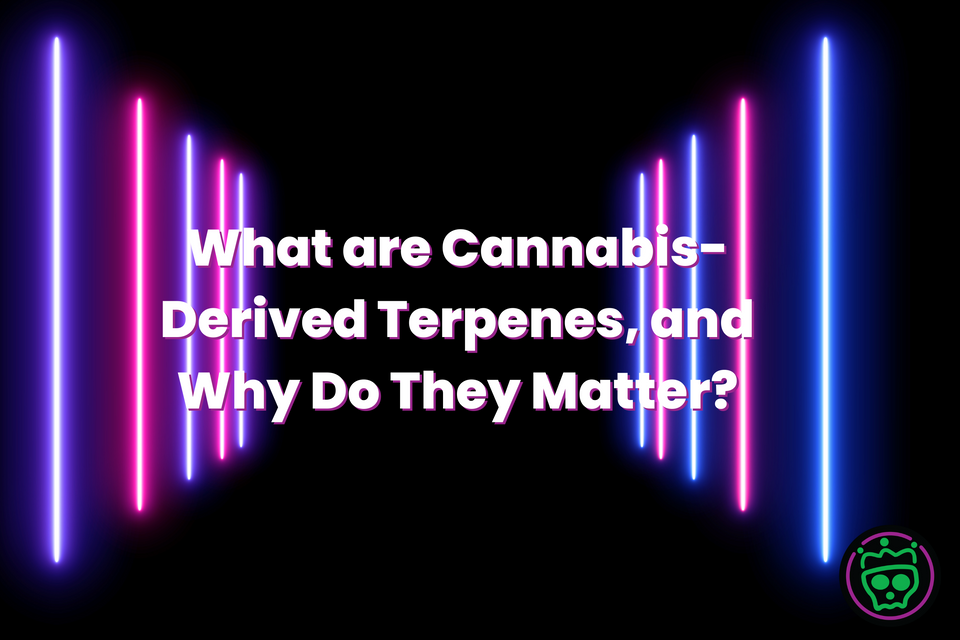 What are Cannabis-Derived Terpenes, and Why Do They Matter?